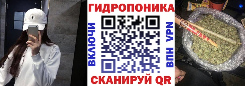 Купить закладку ГАШИШ  Галлюциногенные грибы  Меф  Codein  Канабис  Cocaine  Альфа ПВП  Когалым