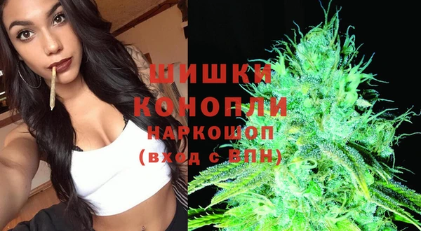 jwh Ельня