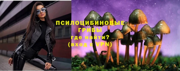 спайс Дмитров