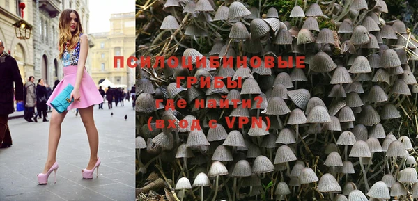 Альфа ПВП Вязьма